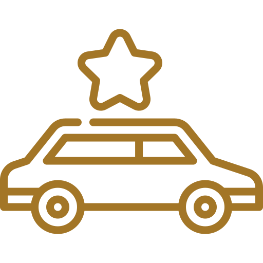 VIP car
